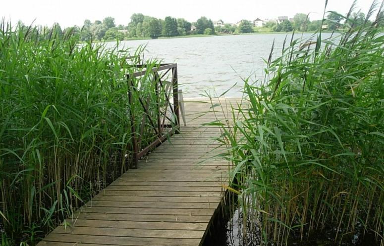 Ezerkiemis Otel Trakai Dış mekan fotoğraf